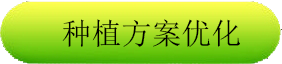 冬小麦but